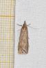 224840 – Photo : Claude Champarnaud – France (17)